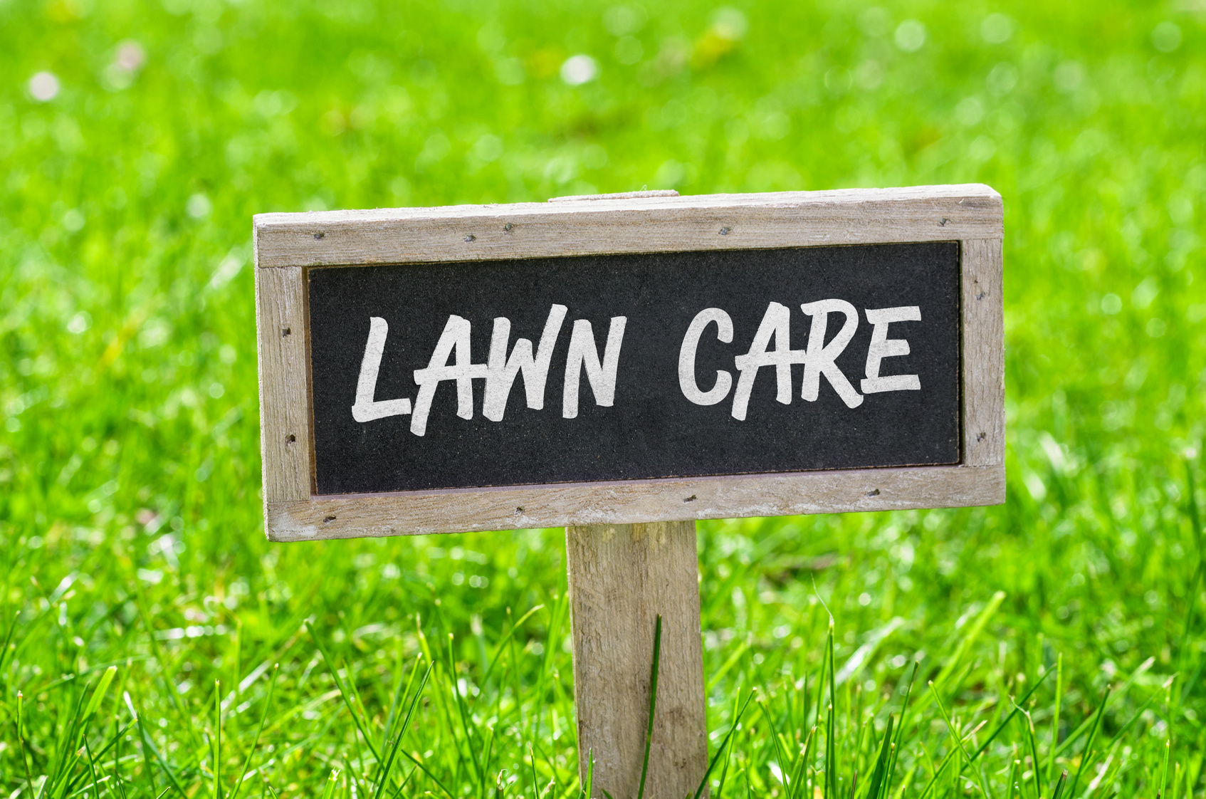 5 Lawn Care Tips to Keep Your Grass Healthy and Green - NuEnergy