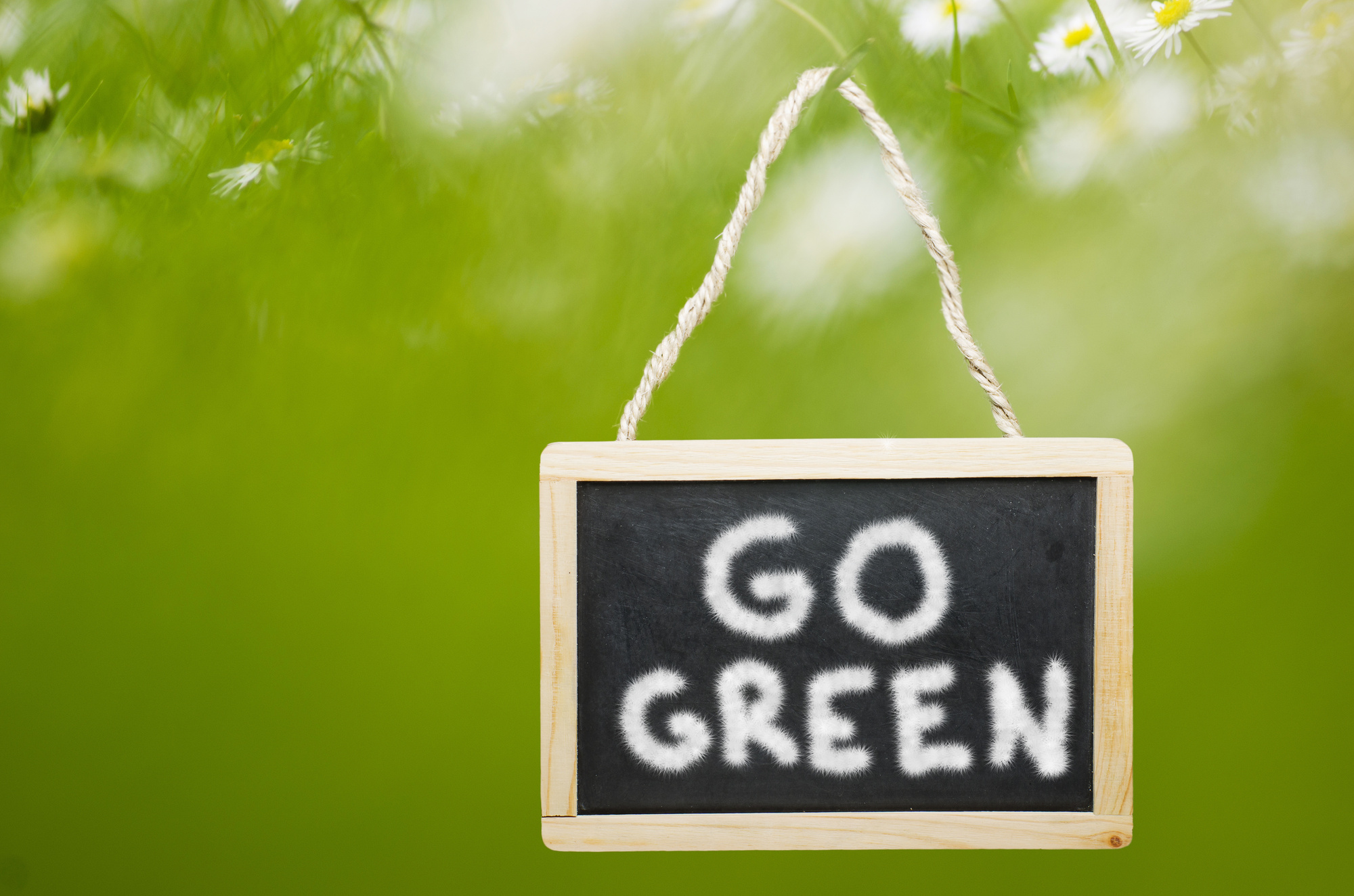 Clean Earth, Clean Mind: 5 Psychological Benefits of Being More Eco-Friendly