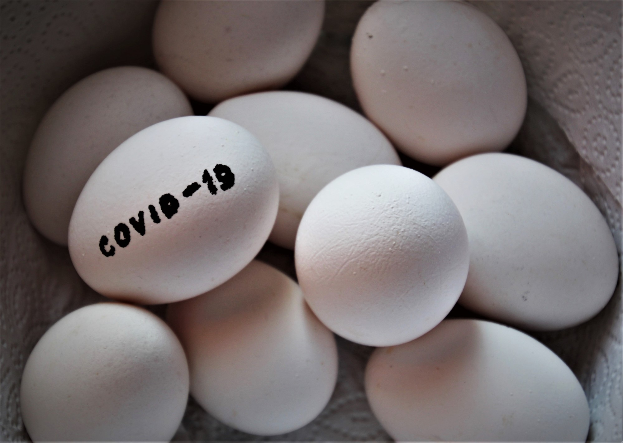 Eggs Marked Coivd-9