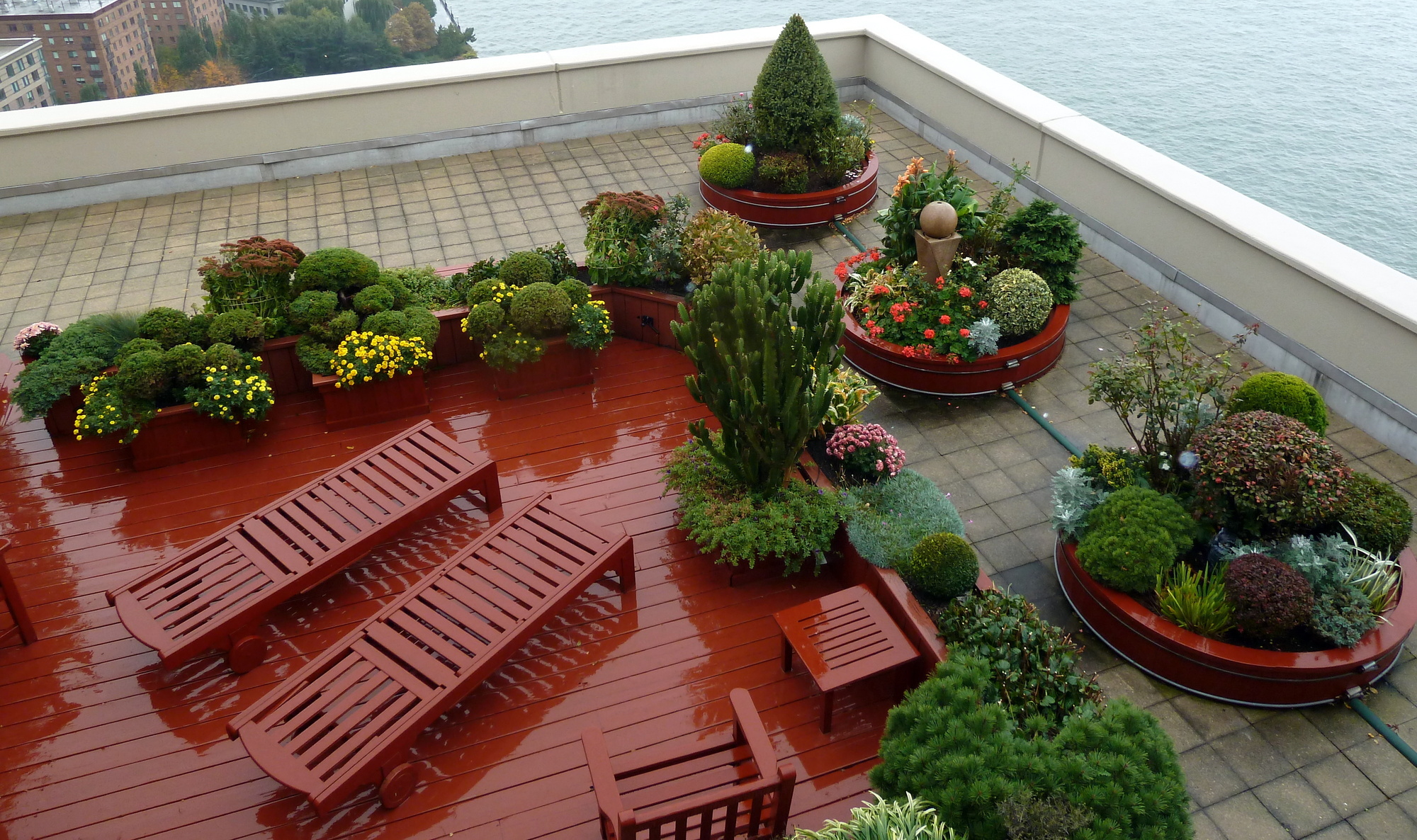 How to Build a Rooftop Garden