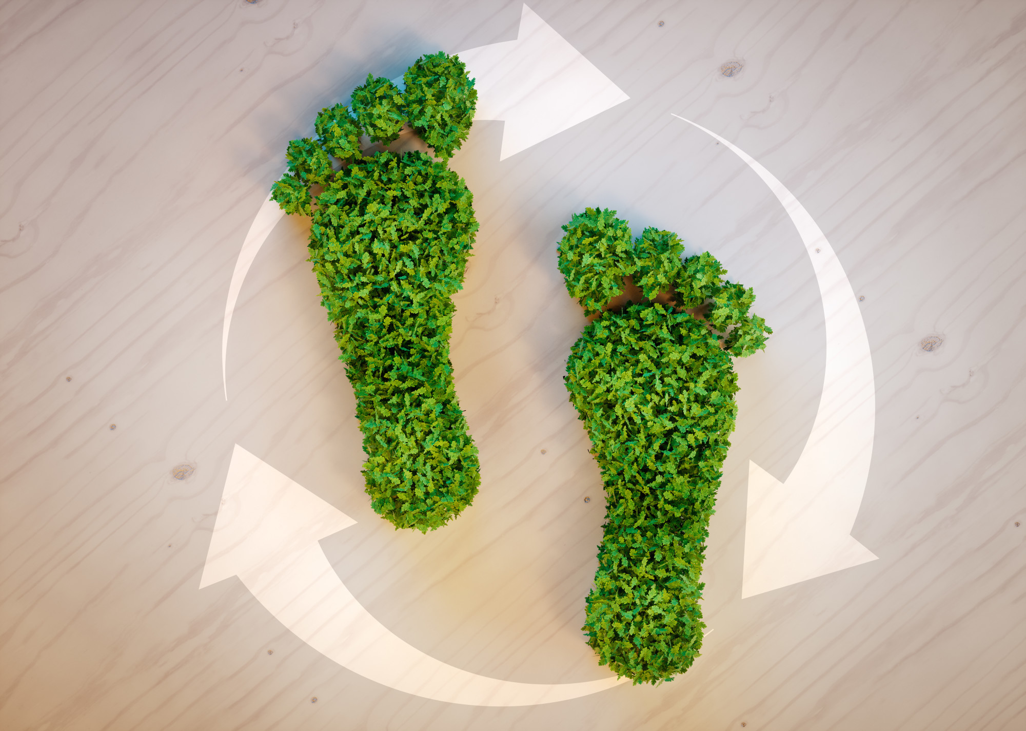 green footprints made out of plants