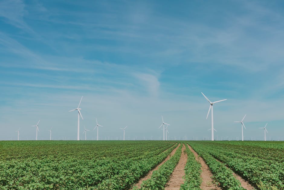 field of windmills as alternative energy