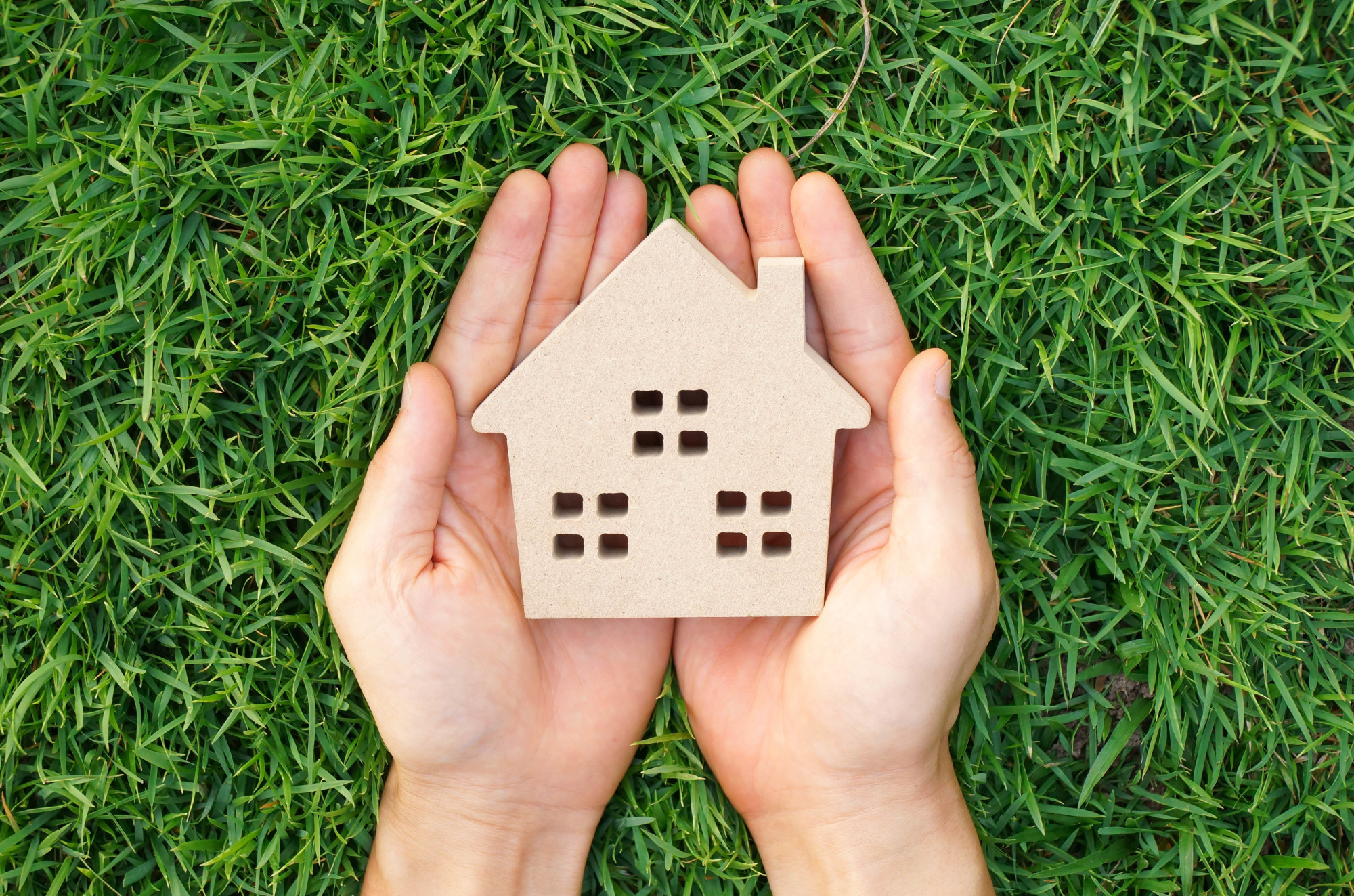 wooden house on green grass background