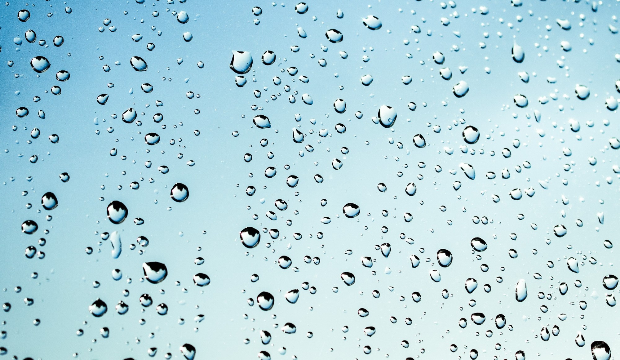 rainwater drops