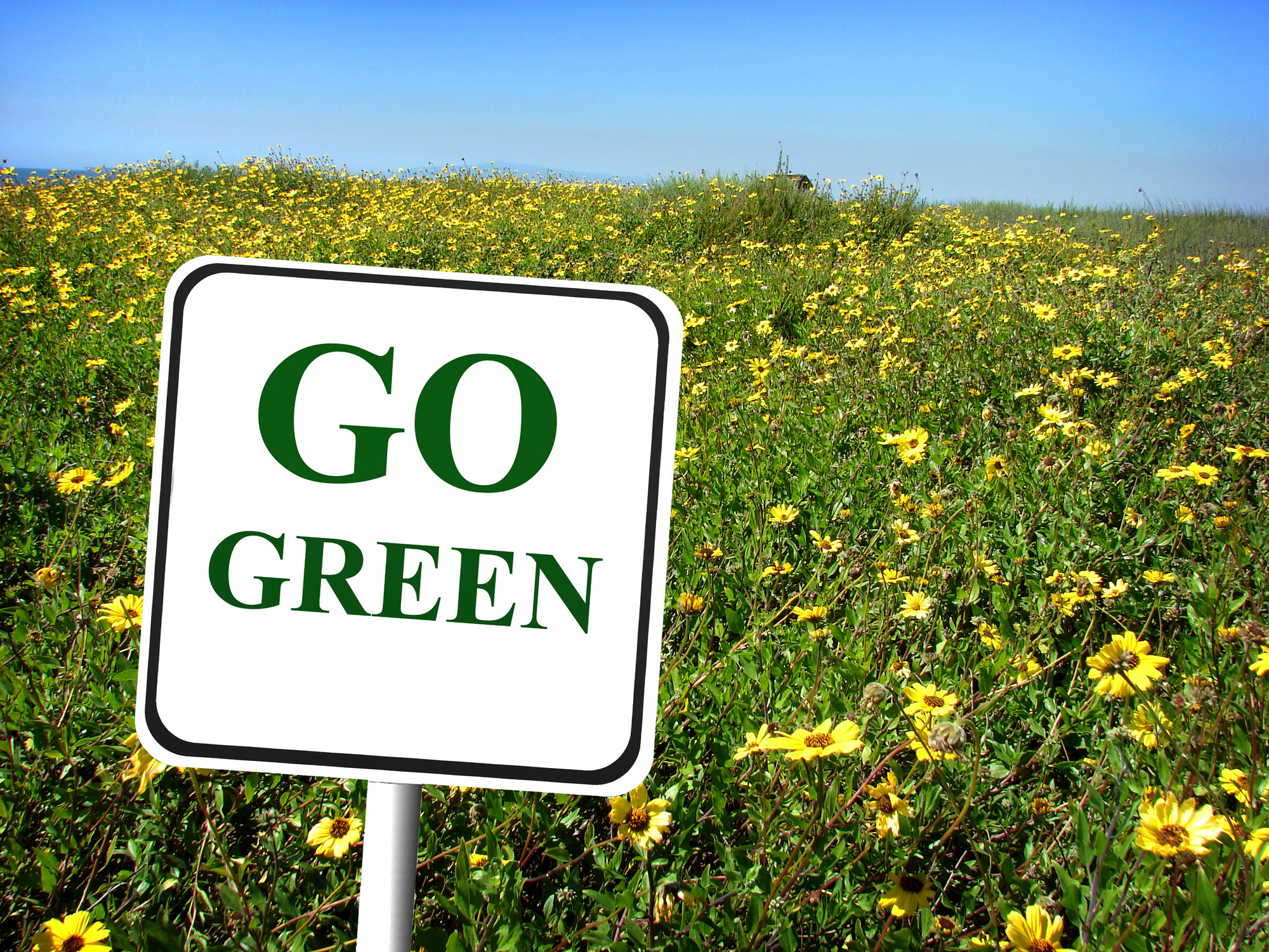 go green