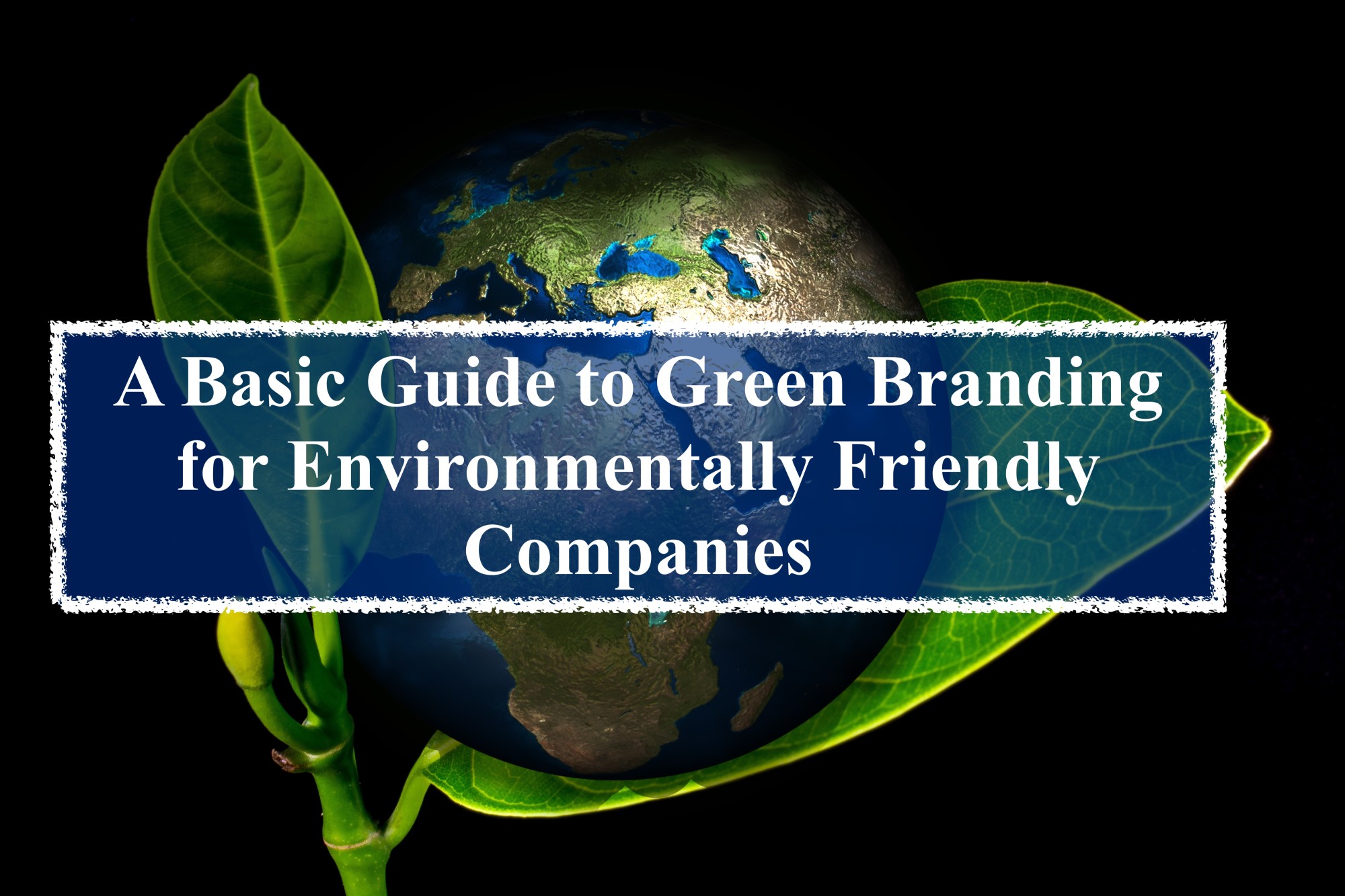 Green BrandingMessage