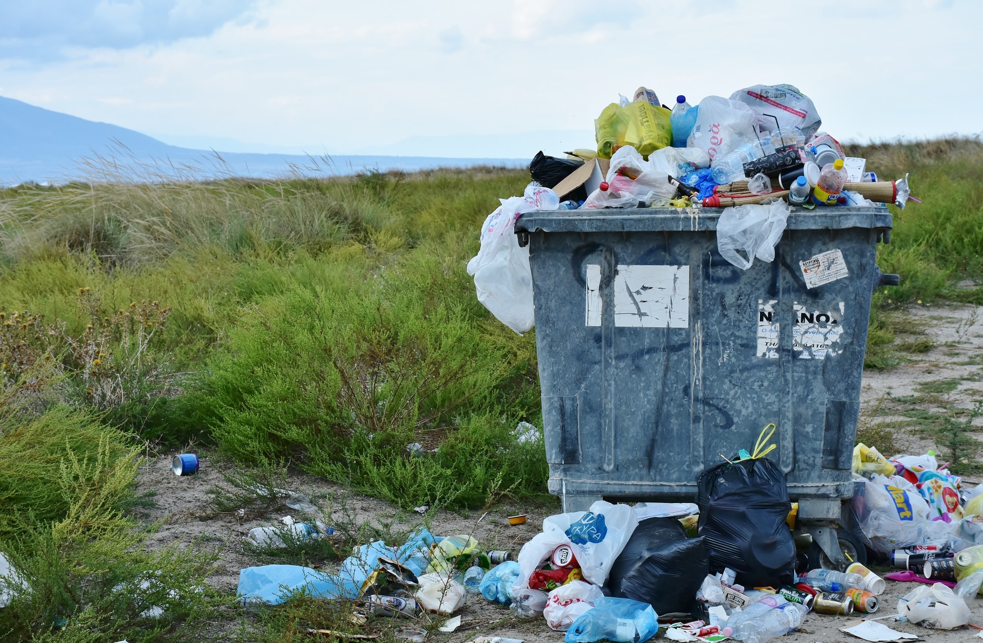 garbage dumpster in field