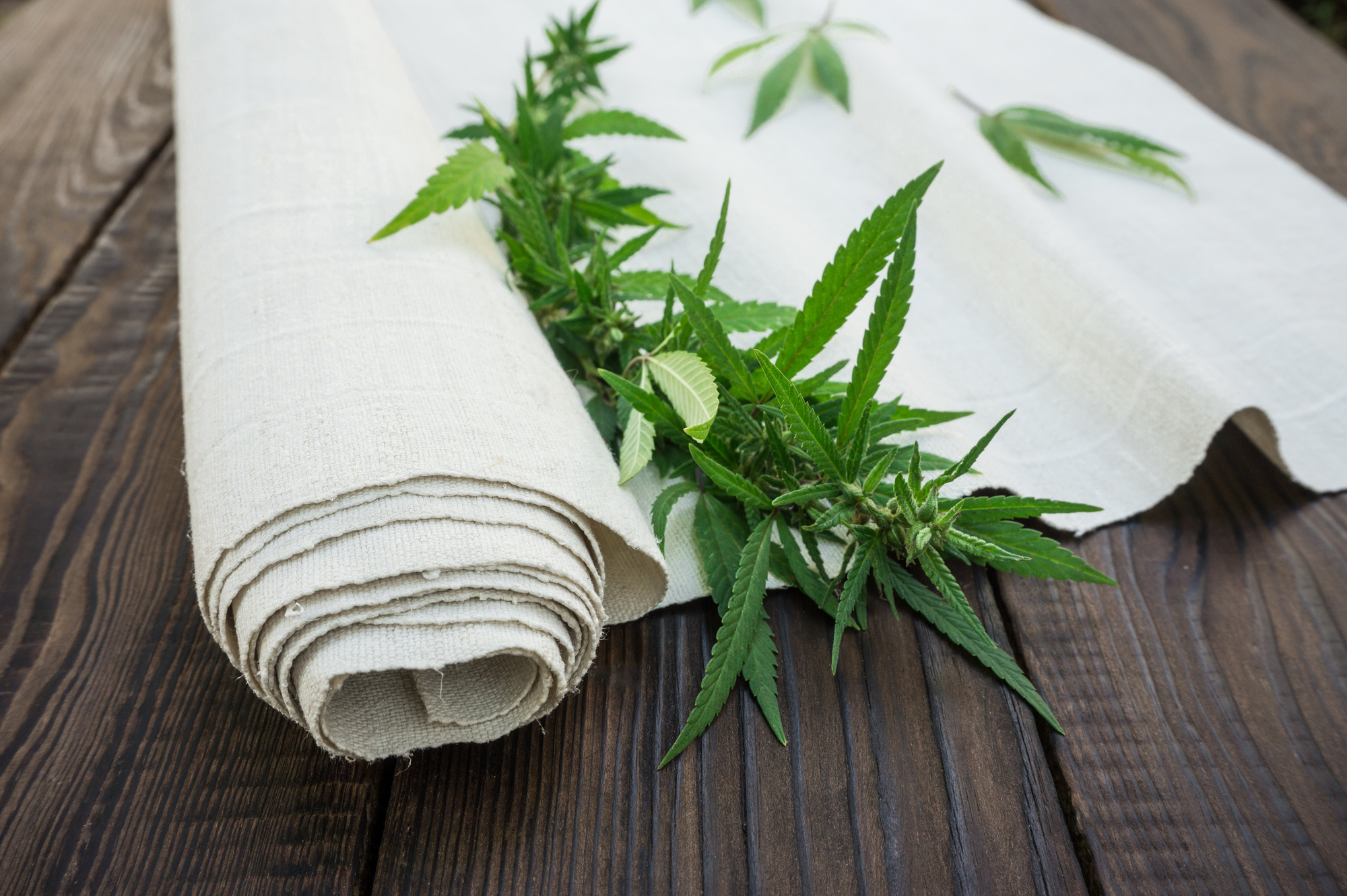 Products Made from Hemp Are Great for the Environment