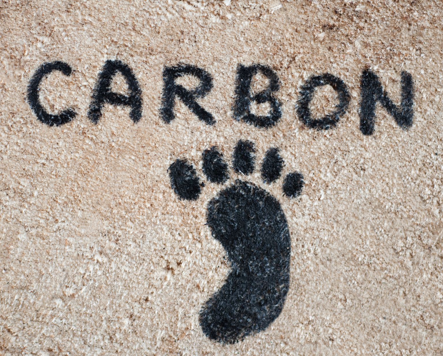 carbon footprint facts