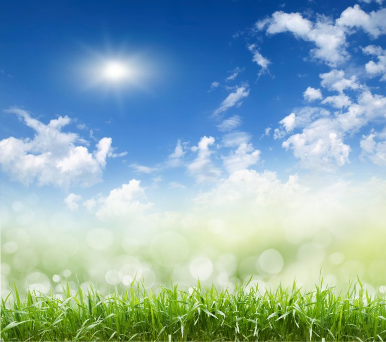 7 Ways to Contribute to Cleaner Air NuEnergy