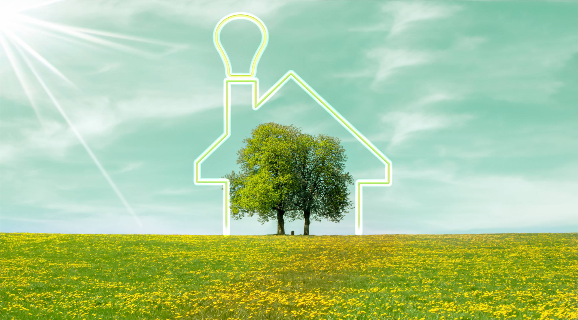 trees and outline of house in field