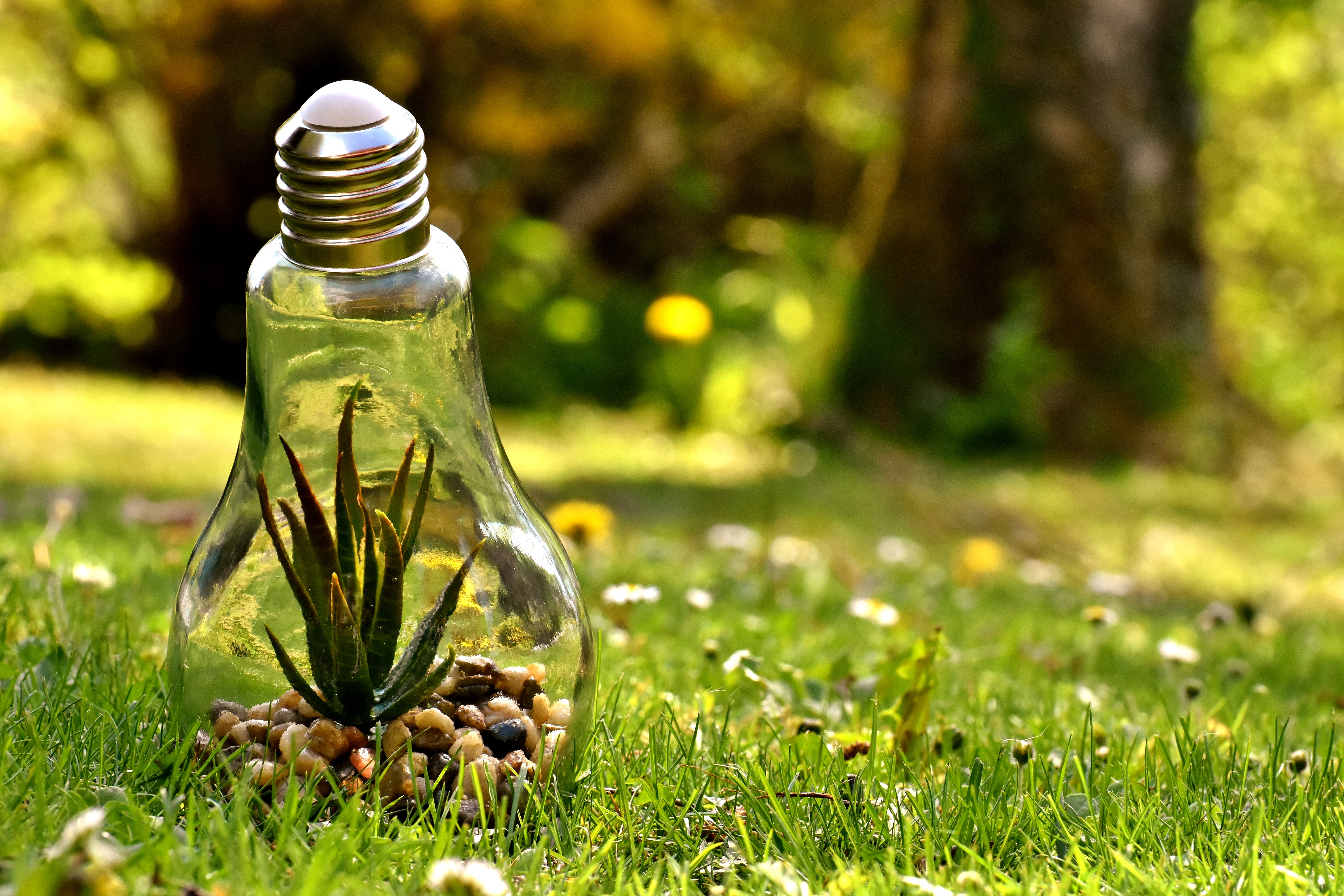 Natural conservation. Природа в лампочке. Экологическая лампочка. Лампочка на траве. Природа в лампе.