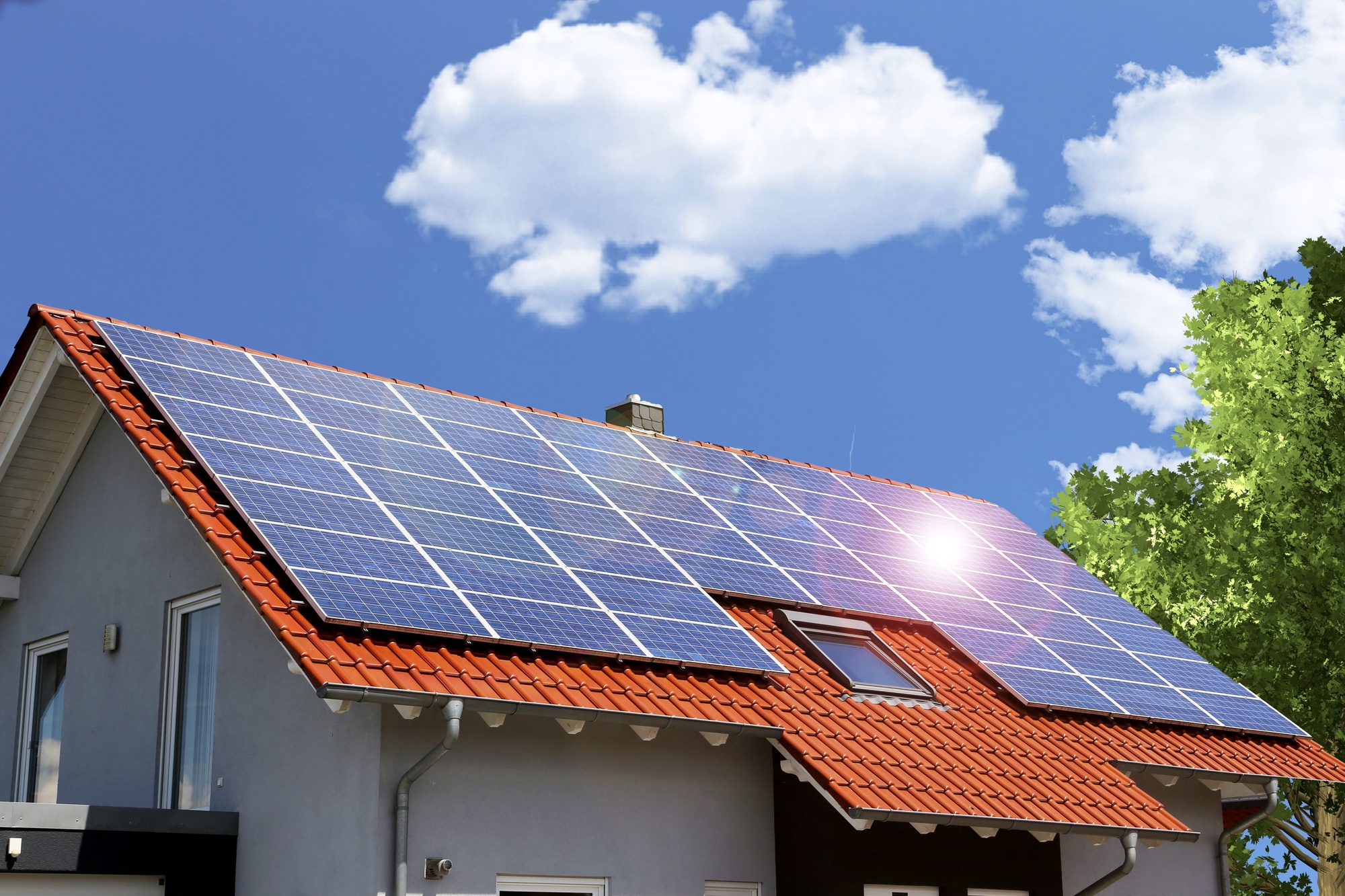 How Much Money Do Solar Panels Save on Your Electricity Bill? NuEnergy
