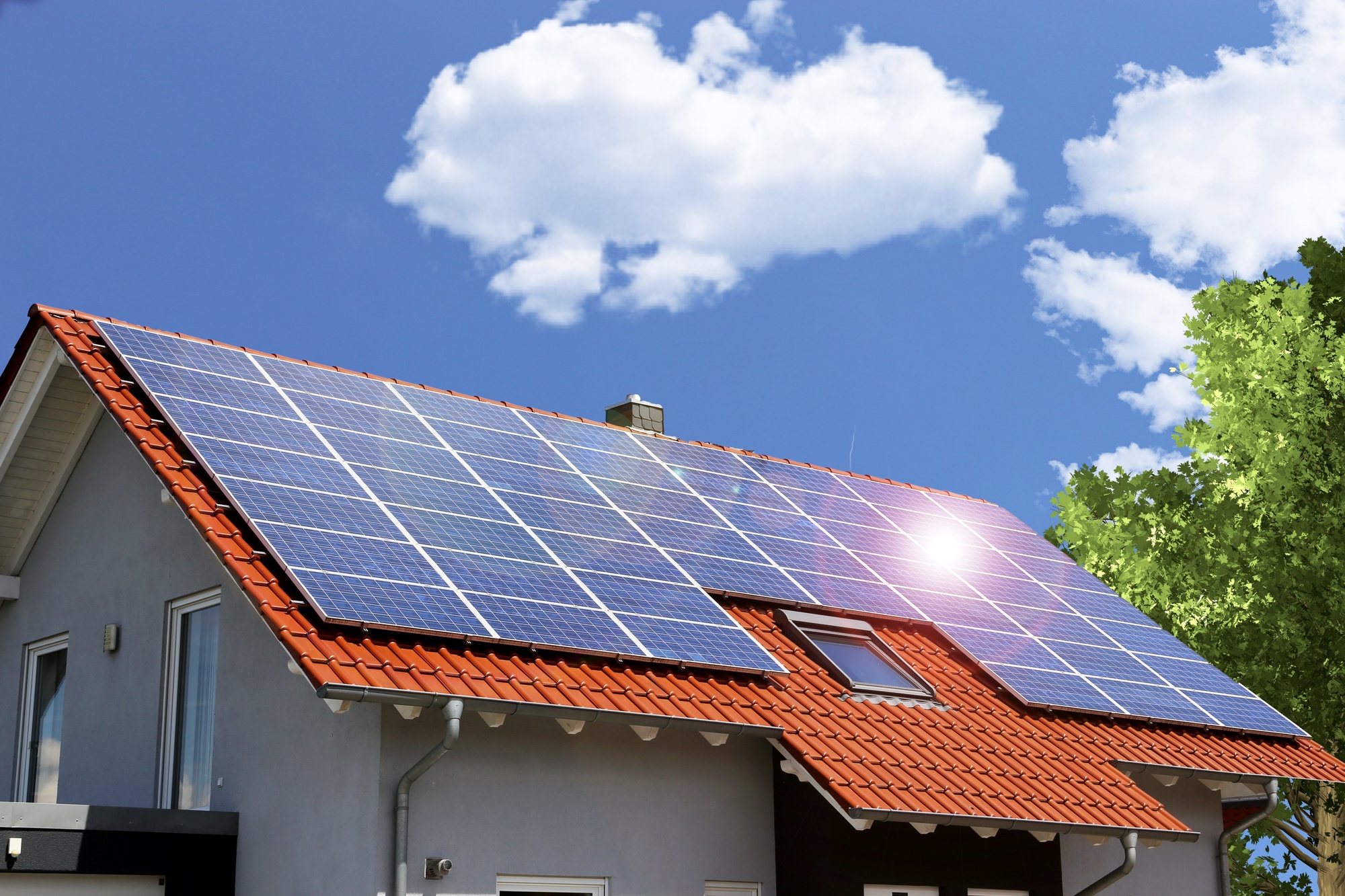 How Much Money Do Solar Panels Save On Your Electricity Bill NuEnergy