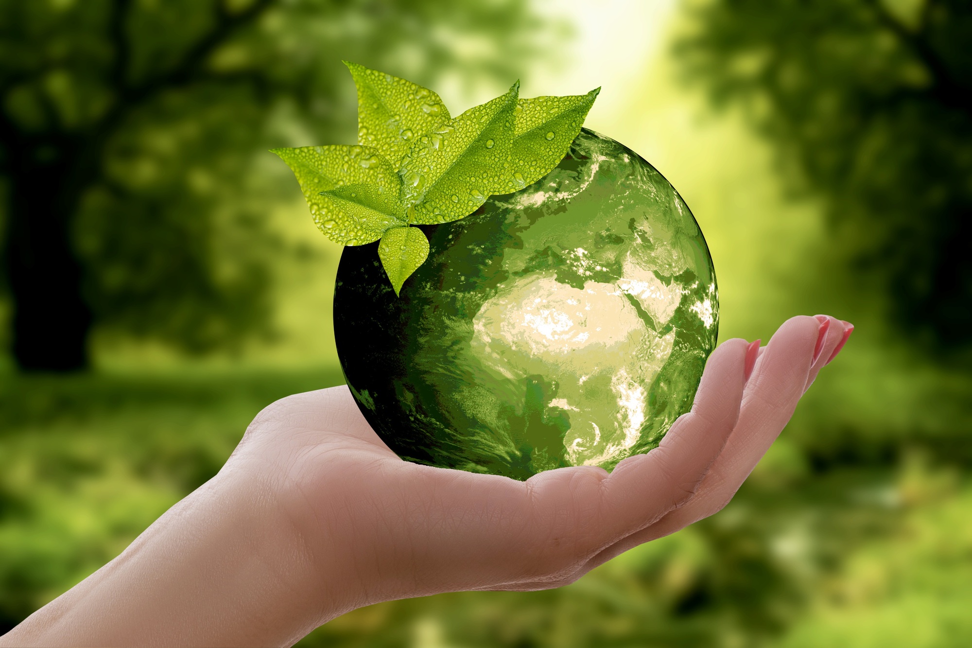 Reduce Reuse Recycle: Tips to Inspire Your Family to Go Green in ...