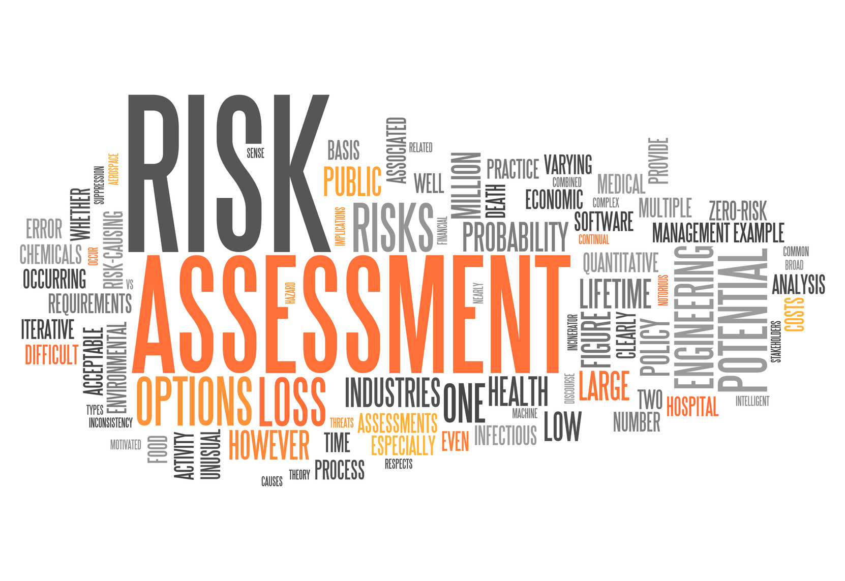 ecological risk assessment case study