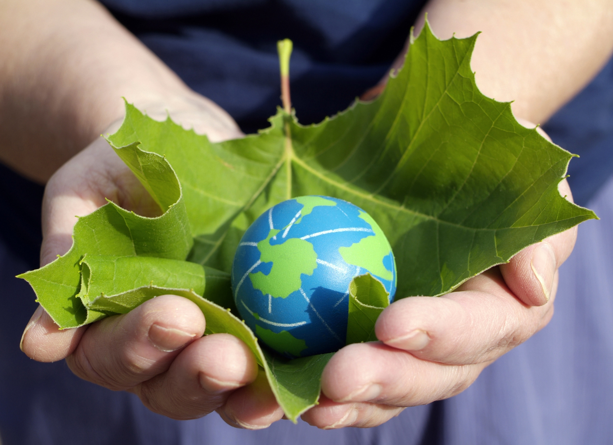 Environmental Sustainability: 10 Eco Friendly Products That Are Making