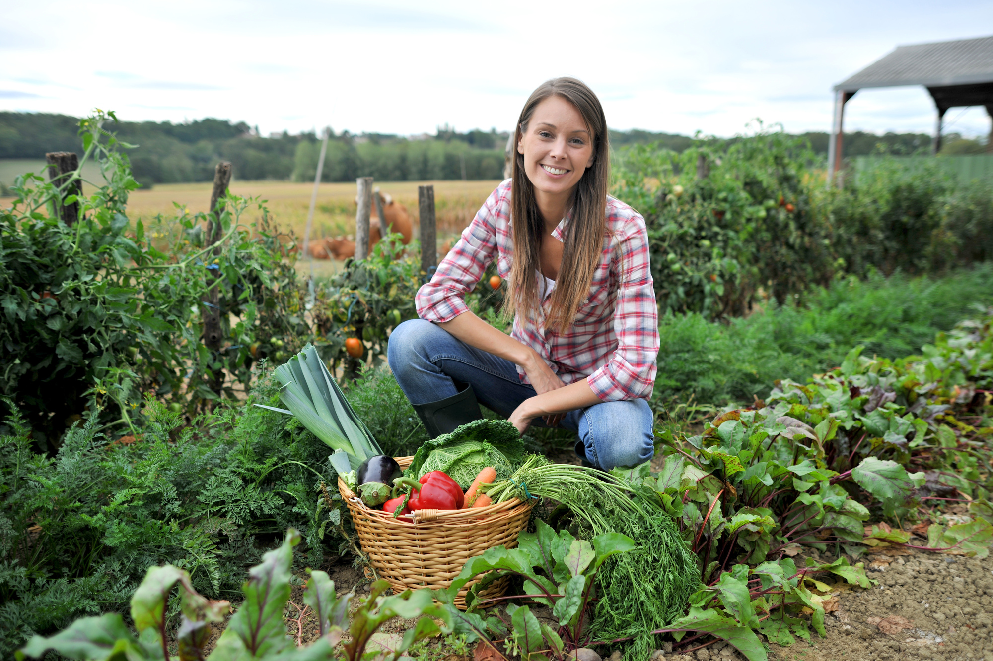 organic gardening