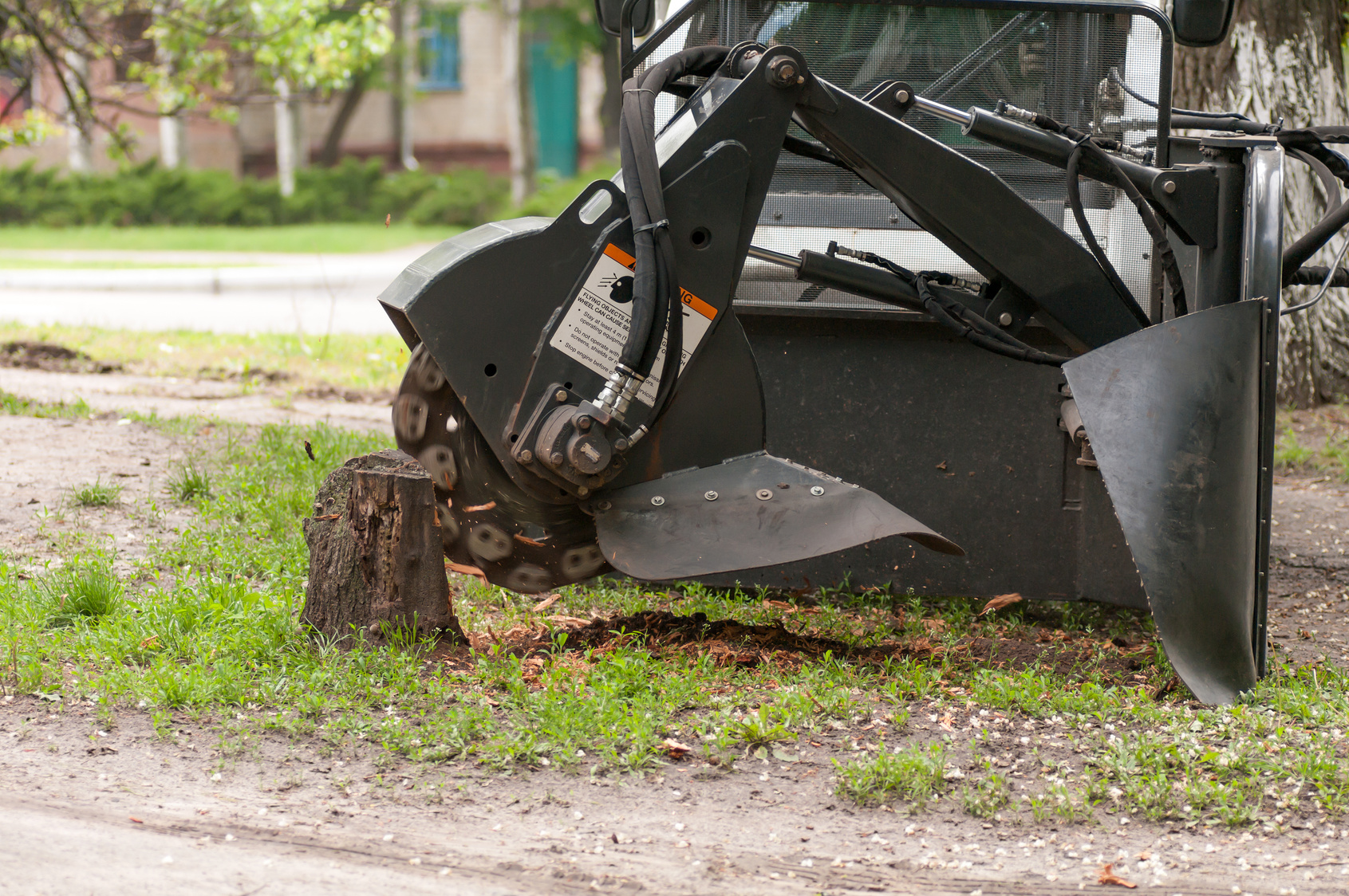 stump removal