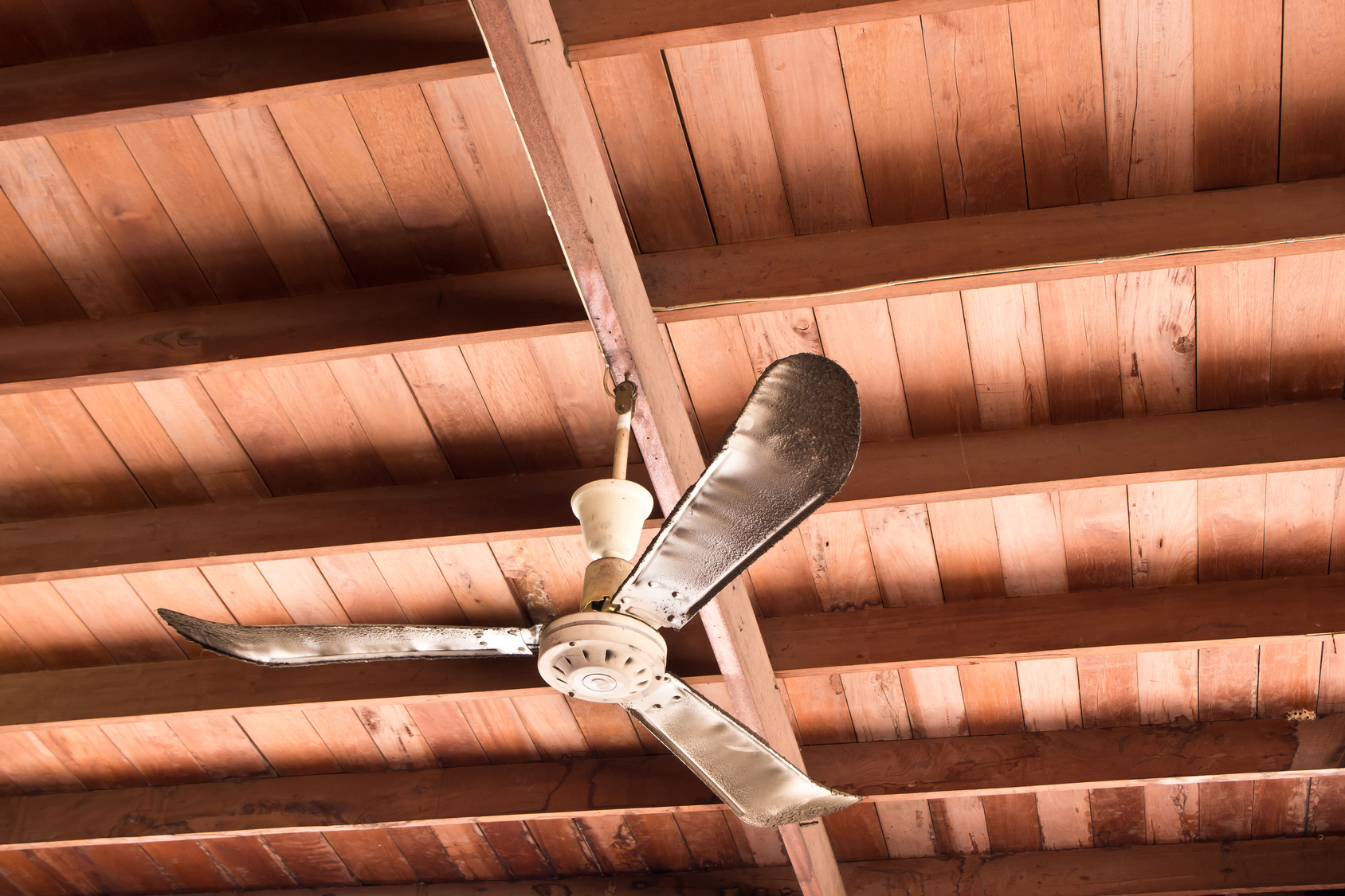 5 Unique Ceiling Fans That Look Great And Save Energy Nuenergy
