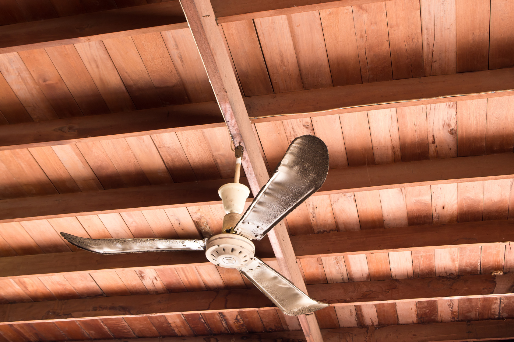 unique ceiling fan