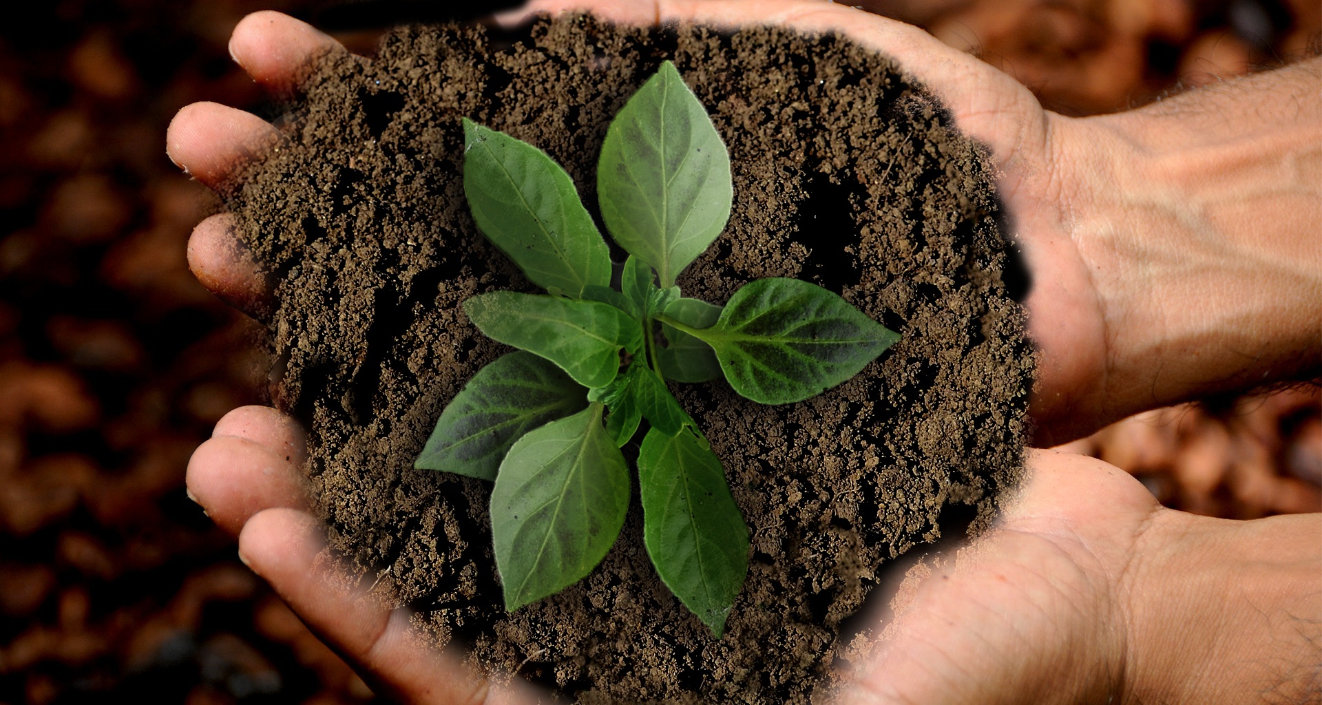 ways to be sustainable