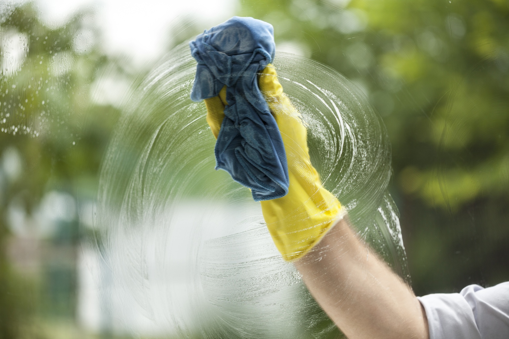 window cleaning